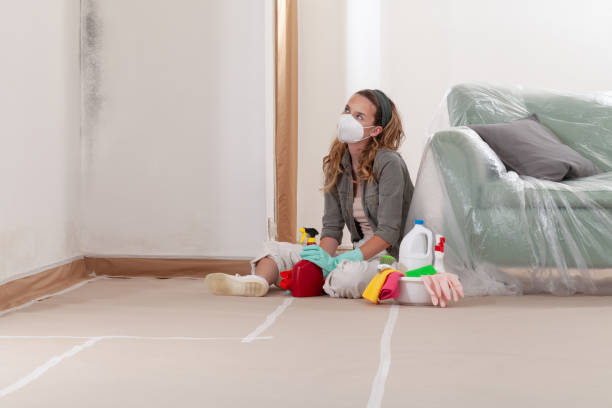 Reliable Mold Remediation contractor in Greenville, GA by WQB Mold Removal